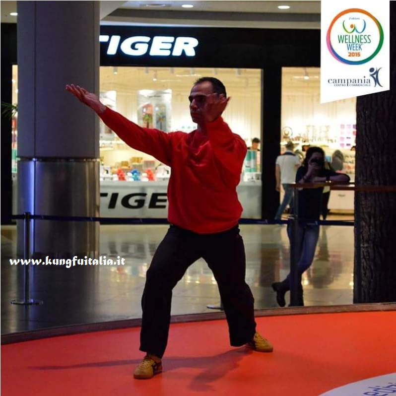 Wellness week Campania Caserta Kung Fu Academy con Sifu Salvatore Mezzone Tai Chi Wing Chun Tjun Tsun shaolin e Ip Man arti marziali www.kungfuitalia.it IMAA Italia (7)